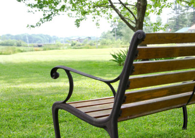 A wooden bench in a grassy area.