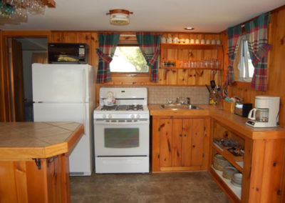 A kitchen with a stove and refrigerator.