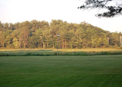 A green field with a marsh and trees in the background.