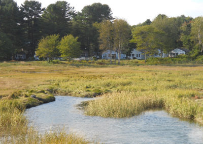 A small stream in the middle of a grassy salt marsh.